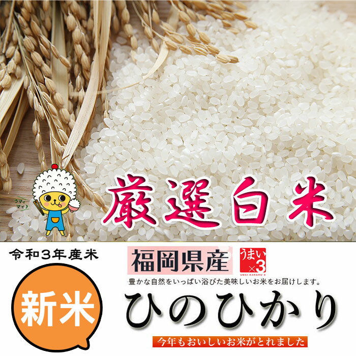 【お買い得 新米 20Kg 白米】令和3年産 ひのひかり 減農薬 定期便 白米 精米 仕立て 送料無料 福岡県産 ふるさと米 産地直送 ヒノヒカリ 美味しい うまい 厳選米 九州のお米 2021年産 国産米 人気 おすすめ 売れ筋 格安 セール まとめ買い 小分け クラフト紙袋入り