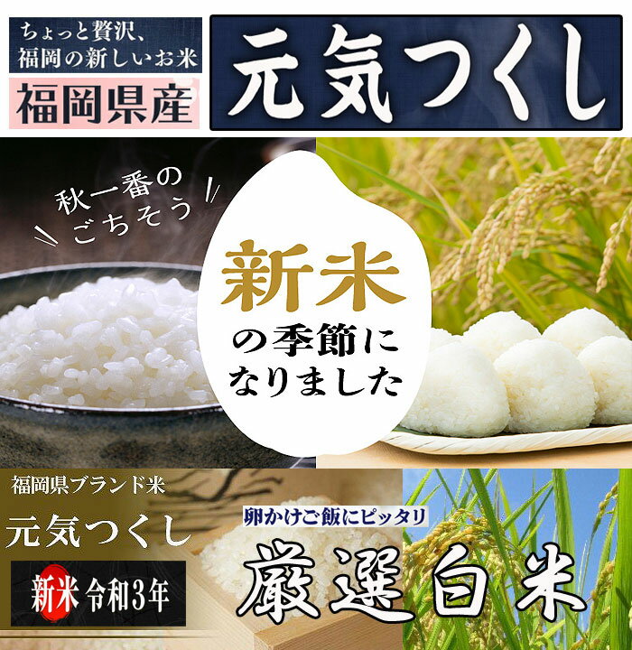 【誕生日月はバースデー割引 5%OFF】2021年産 新米 10キロ 令和3年産 元...