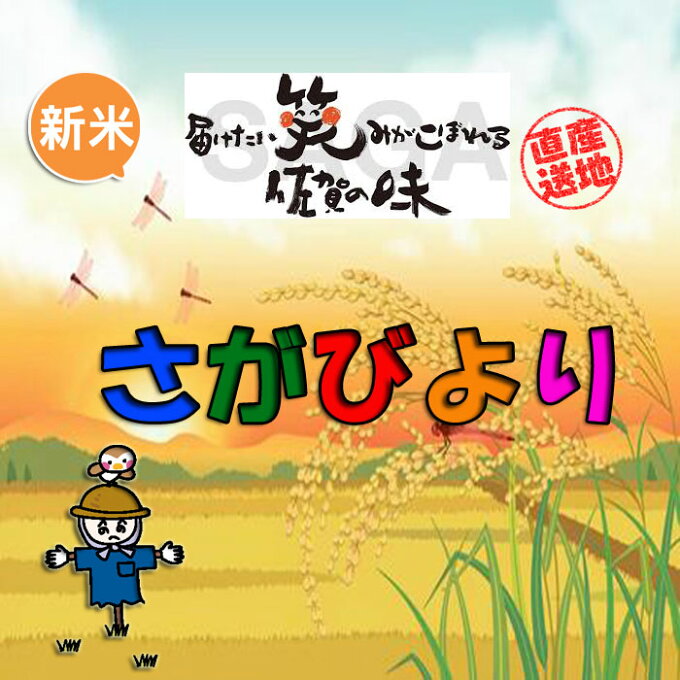 【新米 おすすめ 佐賀びより 白米 】さがびより 米 10Kg 令和3年産 送料無料...