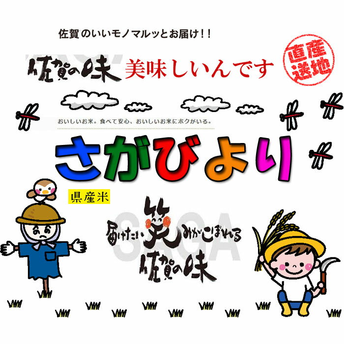 【 新米 白米 おすすめ さがびより】お米 20Kg(10Kgx2) 令和3年産 はくまい 送料無料 佐賀県産 最高級 ブランド米 精米 上白米 大粒 厳選 産地直送 佐賀びより 美味しい うまい 銘柄米 2021年産 国産 単一原料 無洗米 1等米 特A 人気 売れ筋 特別栽培 減農薬 定期便 ギフト