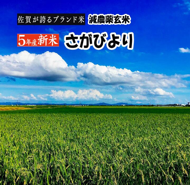 【さがびより 玄米 新米 おすすめ】2023年産 美味い米 5Kg 令和5年産 送料無料 佐賀県産 最高級 ブランド米 大粒 単一原料米100% 産地直送 佐賀びより 美味しい きれい 特産品 九州 特a 1等米 人気 売れ筋 げんまい 特別栽培 減農薬米 定期便 ギフト 5キロ 新鮮 旬 小口 1