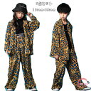 ダンス 衣装 ヒップホップ ダンスパンツ ダンスウェア ステージ衣装 女の子 男の子 HIPHOP 3点セット シャツ+ベスト+パンツ キッズ おしゃれ ボーイ...