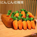【送料無料】にんじん畑 にんじん収穫隊 ノーズワークマット 知育玩具 知育おもちゃ 0歳 1歳 2歳 誕生日プレゼント 知育 赤ちゃん ベビー 男の子 男 女の...
