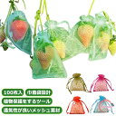 果物袋 保護ネット 防虫 ネット 果物保護ネット 100枚入 果樹用防鳥ネット オーガンジー生地 通気性 メッシュ 鳥よけネット 鳩よけネット 果物保護バッグ ...