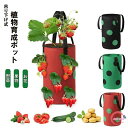 栽培ポット 吊下げ 苗 栽培 菜園 プランター 屋内 植物 観葉植物 野菜 育てる プレゼント イチゴ 送料無料