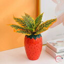 陶器 鉢 プランター 円筒形 多肉植物容器 多肉植物ポット 花瓶 いちご型の植木鉢 癒し かわいいプレゼント 穴無し 庭木鉢 おしゃれな植木鉢 小型植木鉢 軽い セラミック植木鉢 水耕栽培ok 園芸鉢 いちごの多肉植物の鉢 Yj6x
