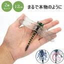 オニヤンマ 虫の侵入に防ぐ 12cm 2個セット おにやんま 模型 本物サイズ 大きい トンボ 蜻蛉 とんぼ おもちゃ 山登り 昆虫 フィギュア 玄関 ベランダ 網戸 室内 アウトドア 登山 釣り キャンプ 野外活動