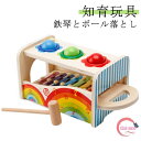 音の出るおもちゃ ハンマートイ 鉄琴 ボール落とし パウンド アンド タップベンチ 知育玩具 2歳 木のおもちゃ ドイツ 名入れ 名前入り とんかち遊び 知育 おもちゃ 木製 男の子 女の子
