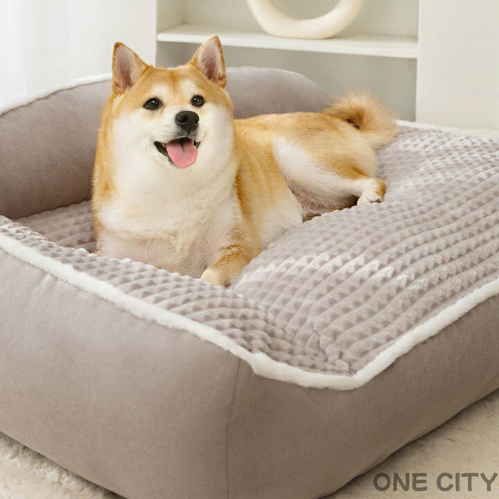 �ڥåȥ٥å� ���� �ͥ� ������ �İ��� �礭�������� �緿�� �淿�� �� �� ��ǭ���� ��ǯ ���٥å� ǭ�٥å� ���졼 �֥饦�� �ڥåȥ��å���� �ޥå� ���å���� ǭ ���� ���� ���襤�� �İ��� �̵������� ������� ���� ǭ��