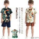男の子 夏物 アロハシャツ 半袖 半袖シャツ 可愛い セットアップ 子供服 上下セット 総柄 花柄 キッズ 子供服 ハーフパンツ キッズファッション こども服 ...
