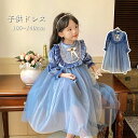 プリンセスドレス 女の子 キッズ ワンピース ドレス 子供服 お姫様 子供 ハロウィン衣装 コスチューム仮装 女王 コスプレ 子ども クリスマス 誕生日 プレゼ...