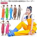 チェストハイウェーダー 水中作業 農作業 女性用 作業靴 防水 胴長 ウェダー 水仕事 フィッシングウェーダー チェストハイウェーダー 釣り用 チェストハイ 雪かき レディース 掃除 鮮魚店 漁業 潮干狩り 除雪 渓流 作業用 海 田植え 水産業