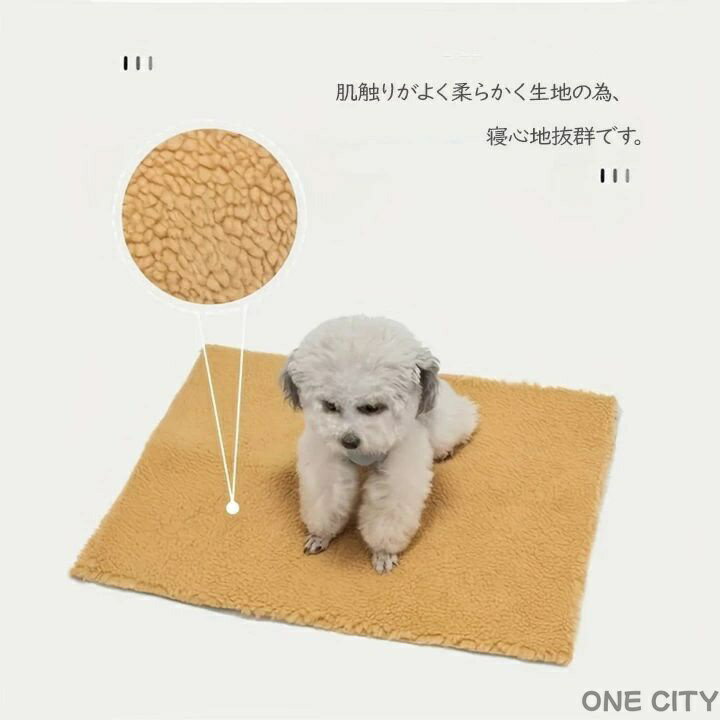 サンプル画像3