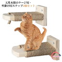 猫 ケージ用ステップ 階段 2個セット 取付簡単 猫用ステップ 木製ステップ 爪とぎ 麻 縄巻き 麻紐付き 滑り止め付 ねこ ネコ用 補助ステップ 省スペース ...