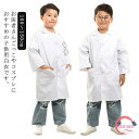 子供用白衣 白衣 子供用 キッズ キッズドクター 小学校 給食白衣 ドクターコート 実験用白衣 ハロウィンコスプレ コスチューム ハロウィン コスプレ 医者 実験着 診察衣 児童用 長袖 博士 白 ホワイト