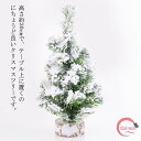 送料無料 ミニクリスマスツリー 30cm 卓上 クリスマスツリー 北欧風 ミニクリスマスツリー 雪付き 卓上ツリー 置物 テーブル ミニツリー 飾り おしゃれ 小さめ コンパクト テーブル 部屋 玄関 装飾 飾り リアル まるで本物 インテリア リアル 高級 店舗用 法人用 ギフト
