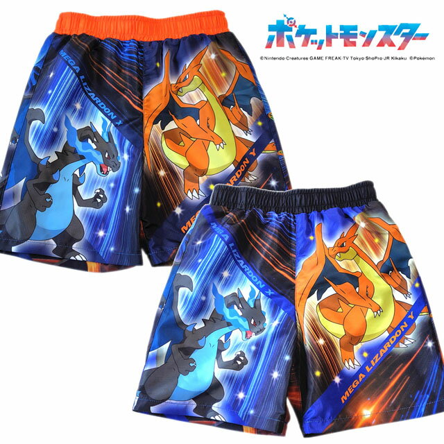 For Boy - ポケモンサーフパンツ 海パン 水着 メガリザードンX ポケットモンスター 【メール便発送商品】 pz-tmr-create16