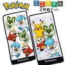 ポケモン ハンカチタオル 2枚組 セット ピカチュウ ニャオハ ホゲータ クワッス 【メール便発送商品】 pz-bryshb01 【SS】
