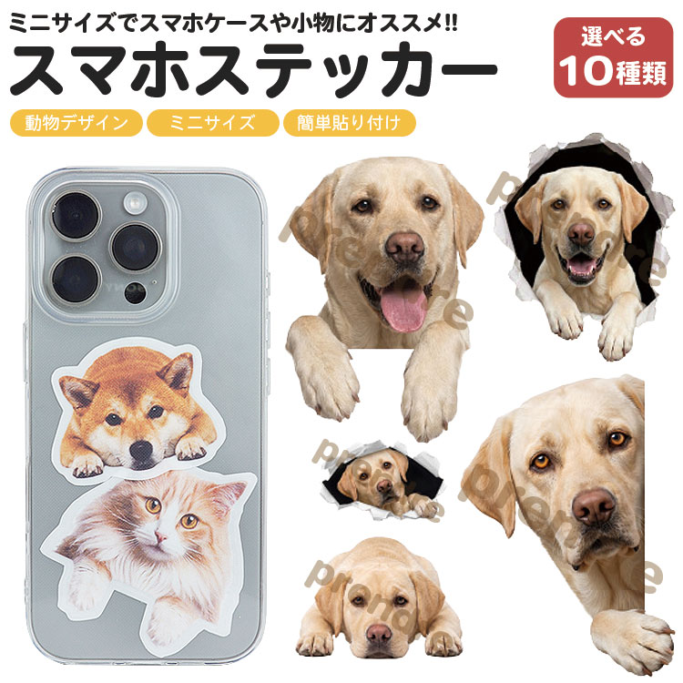 アニマルステッカー インパクトのあるかわいいアニマルステッカー。 スマホケースなど小物への貼り付けにオススメです。 簡単貼り付け ステッカーを貼り付けたい場所のほこりや汚れを綺麗にして、 台紙からステッカーを剥がして貼り付けるだけ！ 挟んで装着 ステッカーはハサミで切ることができるので、台紙ごとカットして 貼らずに透明なスマホケースに挟んで使うこともできます。 サイズ(約)：画像参照 セット内容：ステッカー×1枚 素材：塩ビ ※設置画像はイメージです。 　実際のサイズ感とは異なる場合がございます。 ※サイズの若干の誤差はご了承ください。 ※すりガラスなどの凸凹した面には貼り付けできません。 ※画像・イラストはイメージです。ご閲覧の環境により、色味や雰囲気は異なります。 ※仕様は改善の為に予告なく変更する場合があります。