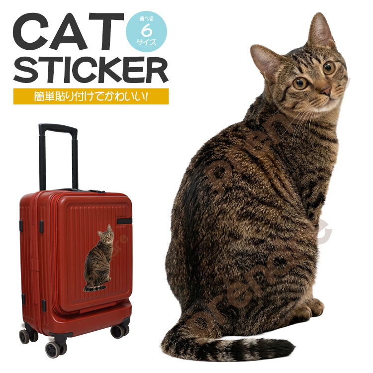 Rakuten - ステッカー 車 かわいい シール 猫 キジトラ 振り向く猫 動物 アニマル 全身 カーステッカー リアル インテリア バイク カー用品 スーツケース 傷隠し ねこ キャット 装飾 可愛い 室内 屋外