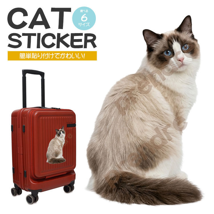 Rakuten - ステッカー 車 かわいい シール 猫 ラグドール 振り向く猫 動物 アニマル 全身 カーステッカー リアル インテリア バイク カー用品 スーツケース 傷隠し ねこ キャット 装飾 可愛い 室内 屋外