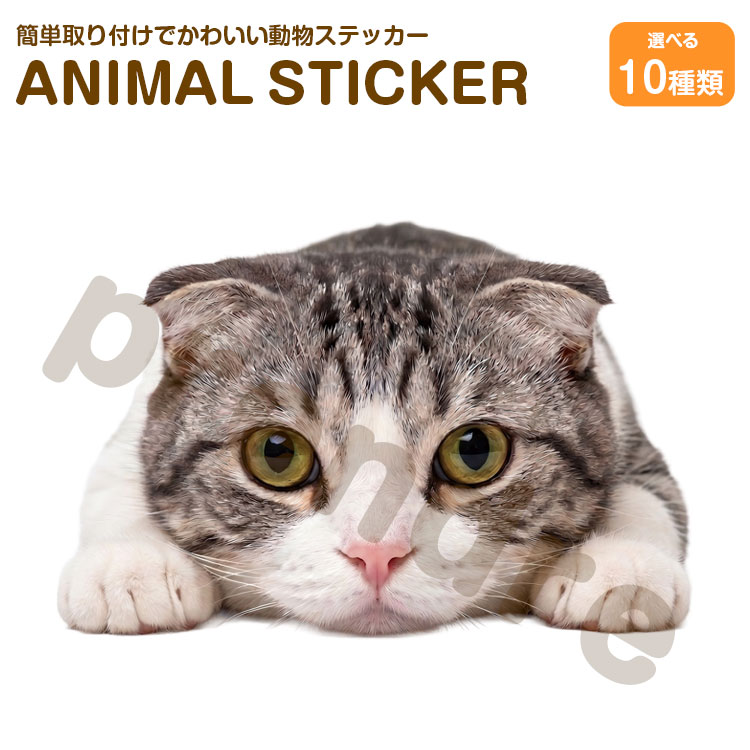 Rakuten - 猫 ステッカー ミックス 伏せる猫 かわいい 動物 アニマル シール カーステッカー ドレスアップ 車 バイク カー用品 傷隠し