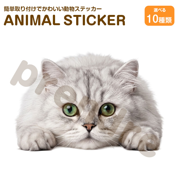 樂天商城 - 猫 ステッカー 両面印刷 ミヌエット 伏せる猫 ガラス 装飾 シール かわいい 動物 アニマル シール カーステッカー ドレスアップ 車 バイク カー用品 傷隠し