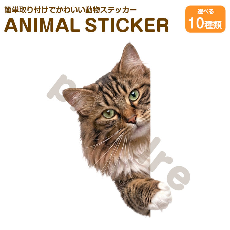 Rakuten - 猫 ステッカー サイベリアン 覗き込む猫 かわいい 動物 アニマル シール カーステッカー ドレスアップ 車 バイク カー用品 傷隠し