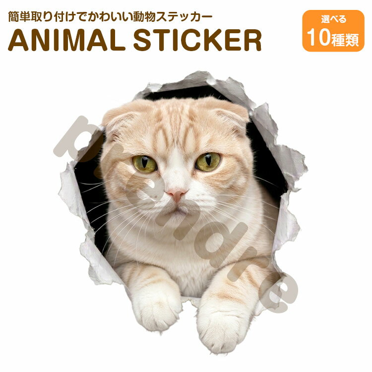 猫 ステッカー スコティッシュ・フォールド 飛び出す猫 かわいい 動物 アニマル シール カーステッカー ドレスアップ 車 バイク カー用品 傷隠し