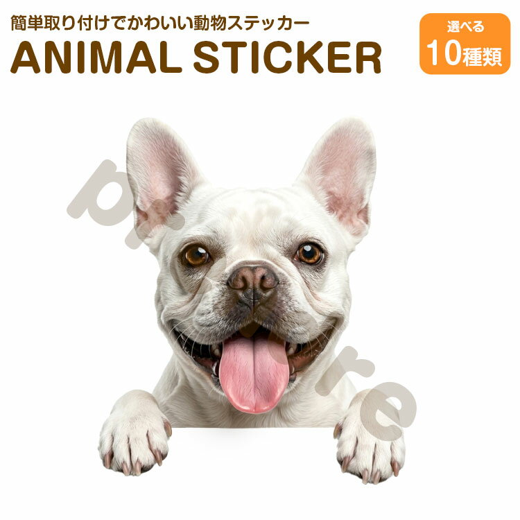 Rakuten - 犬 ステッカー フレンチブルドッグ 覗き見る犬 かわいい 動物 アニマル シール カーステッカー ドレスアップ 車 バイク カー用品 傷隠し
