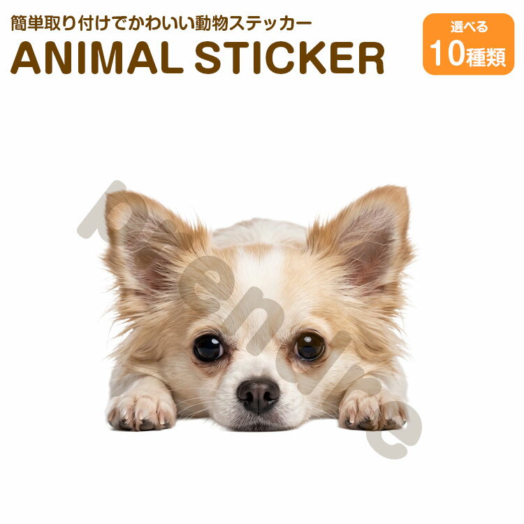 樂天商城 - 犬 ステッカー 両面印刷 チワワ 伏せる犬 ガラス 装飾 シール かわいい 動物 アニマル シール カーステッカー ドレスアップ 車 バイク カー用品 傷隠し
