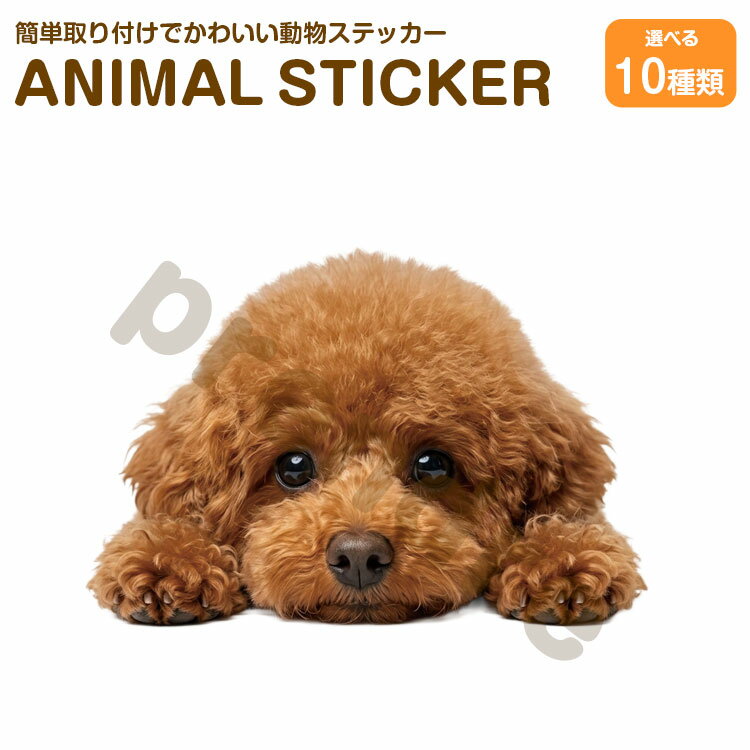 Rakuten - 犬 ステッカー プードル 伏せる犬 かわいい 動物 アニマル シール カーステッカー ドレスアップ 車 バイク カー用品 傷隠し