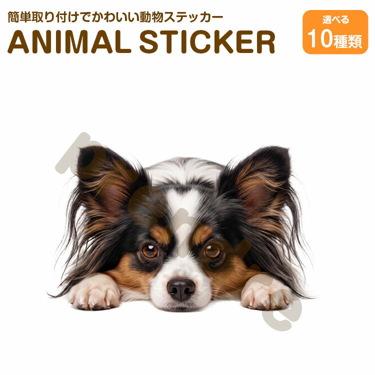 Rakuten - 犬 ステッカー パピヨン 伏せる犬 かわいい 動物 アニマル シール カーステッカー ドレスアップ 車 バイク カー用品 傷隠し