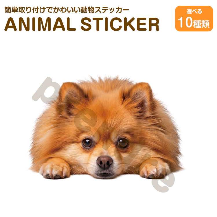 Rakuten - 犬 ステッカー ポメラニアン 伏せる犬 かわいい 動物 アニマル シール カーステッカー ドレスアップ 車 バイク カー用品 傷隠し