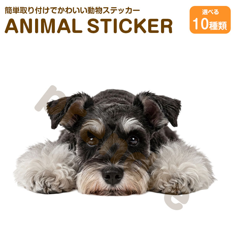 Rakuten - 犬 ステッカー シュナウザー 伏せる犬 かわいい 動物 アニマル シール カーステッカー ドレスアップ 車 バイク カー用品 傷隠し