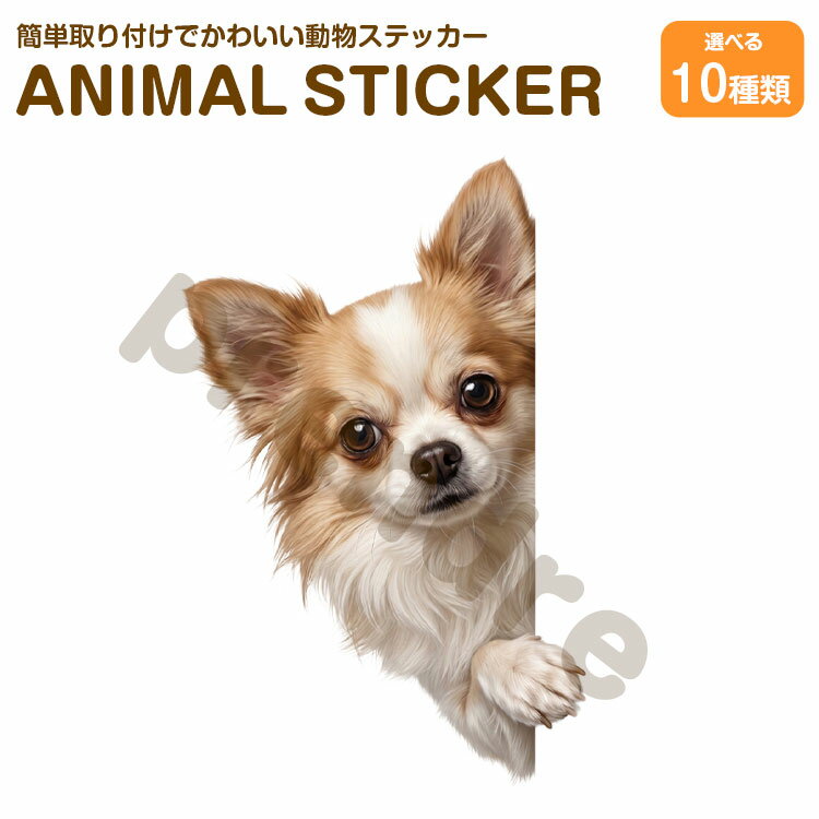Rakuten - 犬 ステッカー チワワ 覗き込む犬 かわいい 動物 アニマル シール カーステッカー ドレスアップ 車 バイク カー用品 傷隠し
