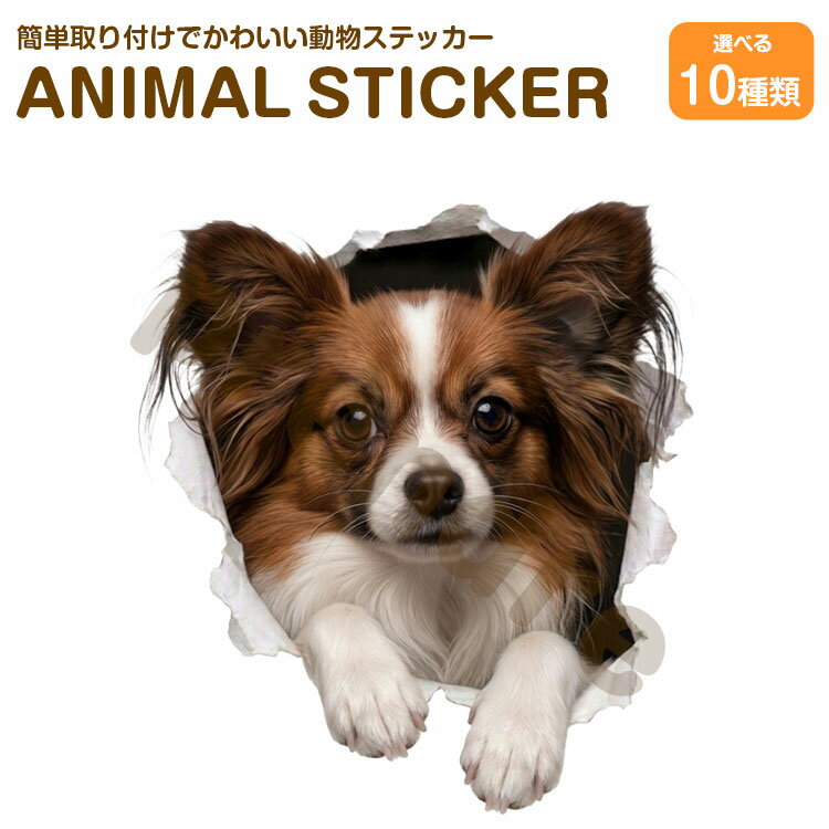 Rakuten - 犬 ステッカー パピヨン 穴から飛び出る犬 かわいい 動物 アニマル シール カーステッカー ドレスアップ 車 バイク カー用品 傷隠し