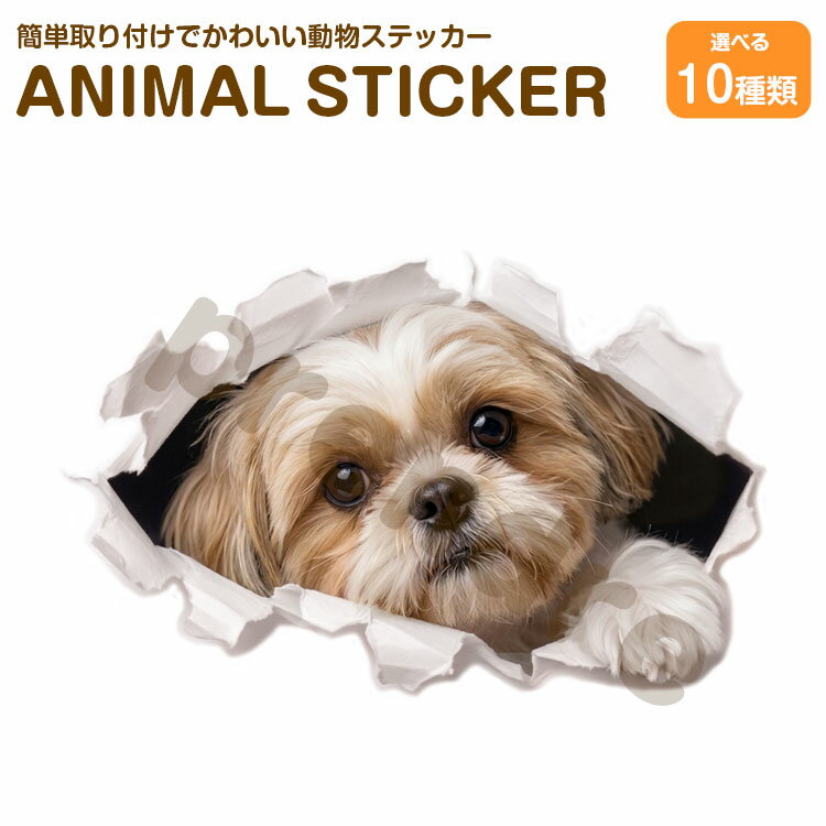 Rakuten - 犬 ステッカー シーズー 穴から覗き見る犬 かわいい 動物 アニマル シール カーステッカー ドレスアップ 車 バイク カー用品 傷隠し