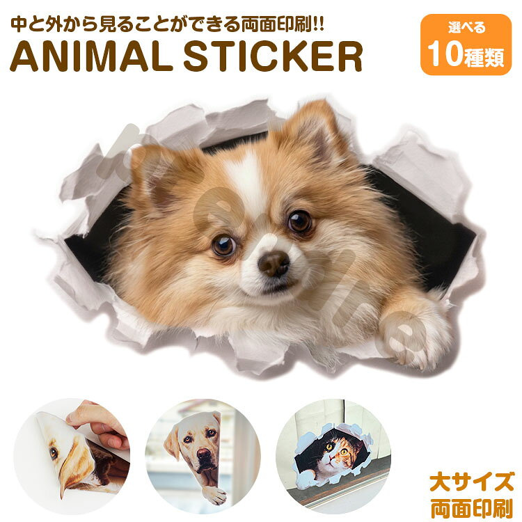 Rakuten - 犬 ステッカー 両面印刷 ポメラニアン 穴から覗き見る犬 ガラス 装飾 シール かわいい 動物 アニマル シール カーステッカー ドレスアップ 車 バイク カー用品 傷隠し