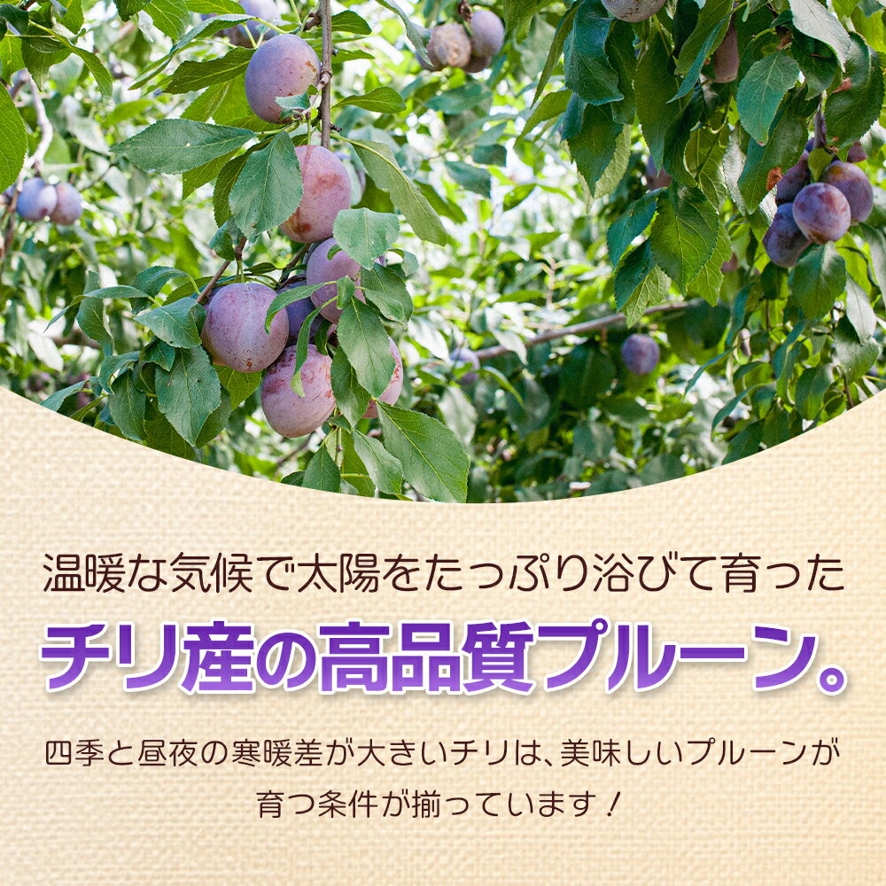 �ɥ饤�ץ롼�� 400g 2�ޥ��å� ������ ��̤��ץ롼�� �ɥ饤�ե롼�� ����̵��