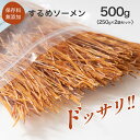するめソーメン 500g (250g×2袋セット) チャック付き 送料無料 おつまみ おやつ お酒のお供