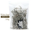 ホワイトセージ 枝付き クラスター 無選別 100g 無農薬 高品質 カルフォルニア産 white sage セージの葉 邪気払い 浄化 グッズ 香り ドライ 乾燥 オーガニック お清め 送料無料