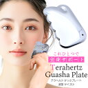 テラヘルツ鉱石 カッサ かっさ プレート 波型 Aタイプ フェイシャルマッサージ 小顔 美容 テラヘルツ Terahertz テラヘルツ波 鏡面加工 パワースト...