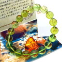 グリーン アンバー ブレスレット 10mmリトアニア バルト海産 バルティックアンバー 琥珀 こはく 天然石 パワーストーンamber 父の日 贈り物 ギフト ...
