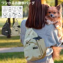 【撥水・軽量】ボディバッグ レディース きれいめ 大容量 かわいい しずく型 2way 縦型 ショルダーバッグ 斜めがけ 通勤 旅行 メンズ 多収納 ペットボトル 外ポケット お散歩バッグ 犬 ママバッグ 黒 カジュアル アウトドア(4)