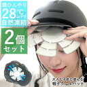 【2400円→2160円】2個セット 帽子 クールパッド 保冷剤 頭冷やす 頭ひんやりパッド ヘッドクール 冷感 ハットピロー アイスパッド 大人 子ども 夏 ...