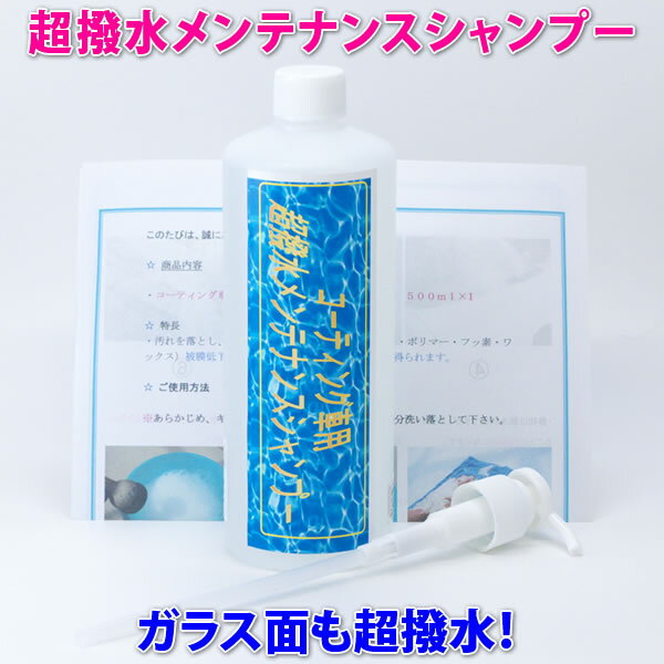 ◆価格据え置き中！ カーシャンプー 洗車 と同時に素晴らしい光沢と超撥水の カーシャンプー！★ガラス面も超撥水！★楽…