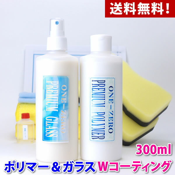 ガラスコーティング剤 車用【送料無料】好評につき、大容量300mlタイプ登場！ 脱脂シャンプー 付き 超..