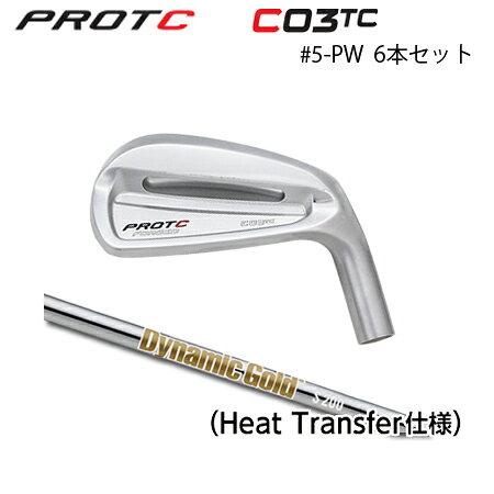 乐天商城 - PROTOCONCEPT(プロトコンセプト) C03TC FORGED IRON #5-PW(6本セット) + Dynamic Gold HT【カスタムオーダー】