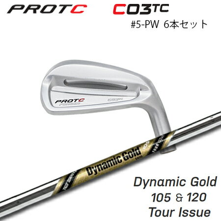 乐天商城 - PROTOCONCEPT(プロトコンセプト) C03TC Forged Iron アイアン #5-PW(6本セット) + DG 105&120 TourIssue【カスタムオーダー】